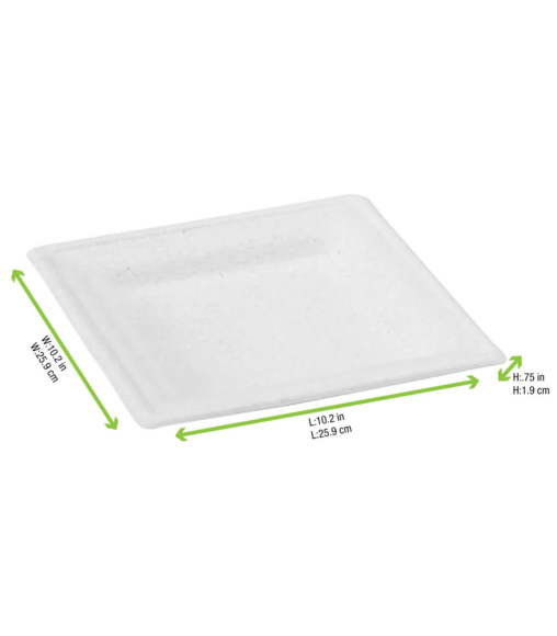 Tanier BAGASEE štvorec 260mm 18ks