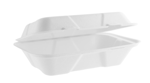 MENU BOX BAGASSE nedelený 1L 50ks