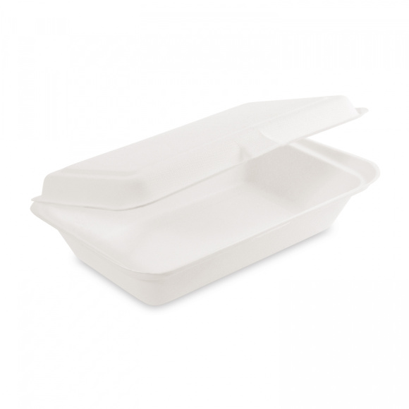 MENU BOX BAGASSE nedelený 250x162x63 50ks